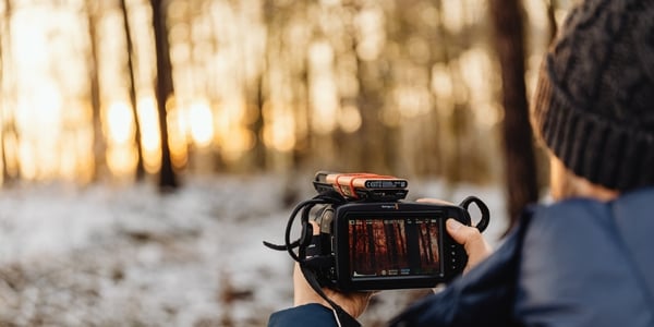 7 Reasons to Get into Photography